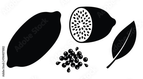 Lemon slices fruits and seeds isolated on white background black and white illustration healthy food