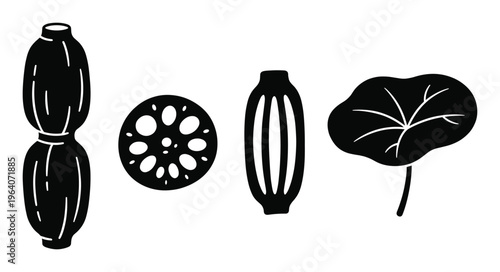 Lotus root silhouette set including whole tuber and sliced cross section with lily pad leaf drawing