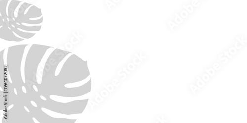 Monstera leaves pattern, tropical plant leaves, botanical illustration, flat design, vector illustration