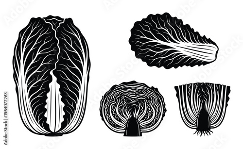 Napa cabbage vector illustration set includes whole vegetable and leaves in black silhouette style
