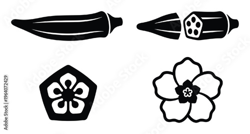 Okra vegetable and flower vector isolated on transparent background, outline drawing, vector illustration