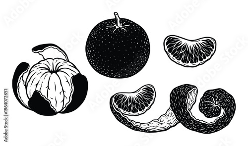 Orange fruit whole peeled sections and zest spiral on transparent background isolated