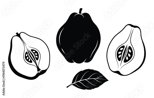 Quince fruit botanical illustration set with whole and halved fruit pieces plus leaf vector graphic