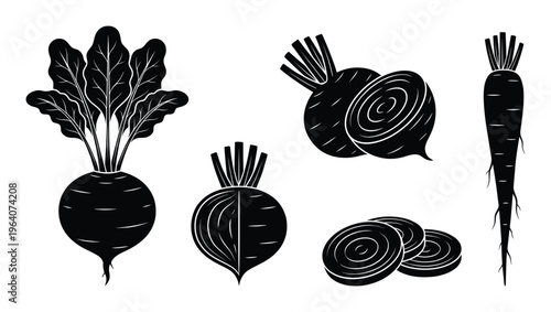 Set of fresh beets with leaves, half beet and beet slices, whole beet with small root