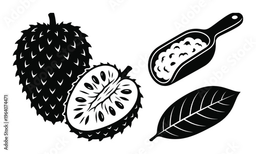 Soursop fruit vector set including whole guanabana with half cut piece leaf and scoop of white pulp