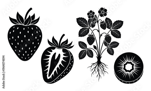 Strawberry fruit vector set with whole berry half cross section plant with roots and flower icon