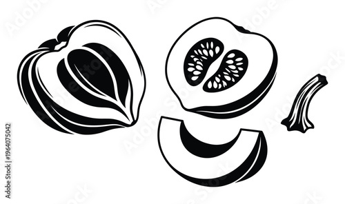 Various parts of pumpkin or squash sliced halves and stem on transparent background