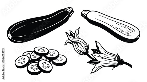 Zucchini whole half sliced and flower black silhouette vector graphic, summer squash illustration