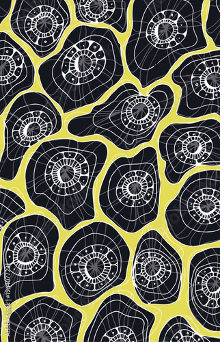 underwater, coral reefs, fish, sea animals, crabs, mermaid, sea shells, octopus, plants, ocean, sea weed, 