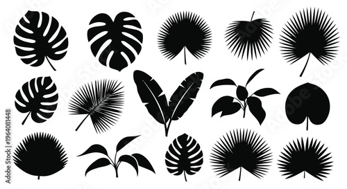 Vector illustration of set of tropical palm leaves silhouettes