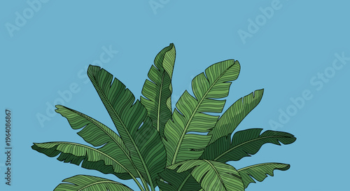 Vibrant tropical leaves unfurling against a serene blue sky, creating a peaceful and exotic natural backdrop for a refreshing escape