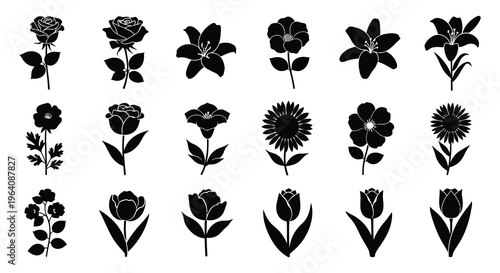 A collection of various flower types in black including roses lilies and tulips depicted as a striking silhouette high quality professional