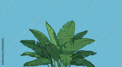 Vibrant and lush illustration of tropical banana leaves, showcasing abundant green foliage against a serene blue background, ideal for exotic nature-themed designs and digital art projects