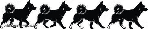 Black dog walking cycle silhouette sequence, four frames of canine movement animation, vector illustration isolated on white background art design