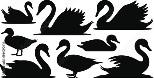 Beautiful collection of swan and duck silhouettes featuring graceful black bird shapes swimming and standing for elegant nature vector design projects.