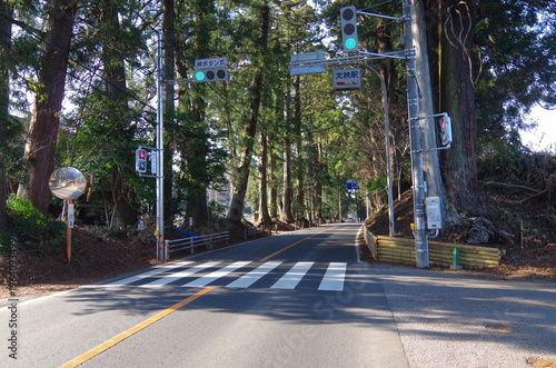 日光杉並木の街道と信号