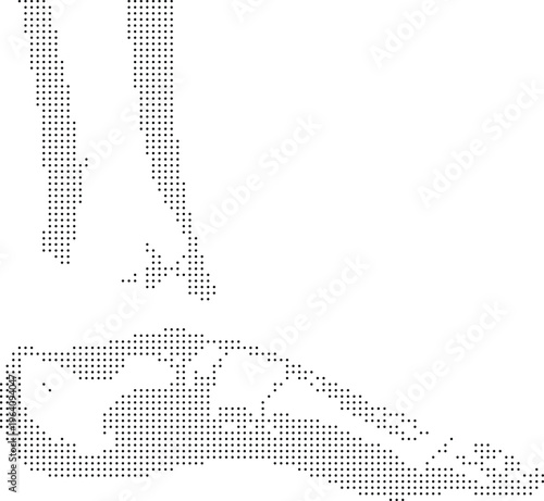 Florida map pixelated bitmap dither halftone dotted vector graphic resource illustration background template