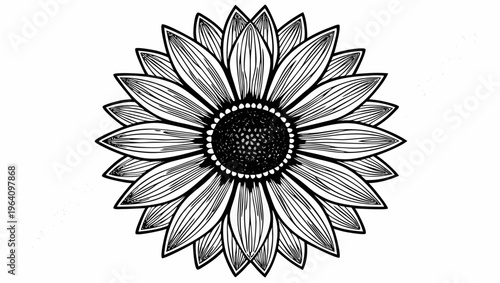 A detailed black and white vector illustration of a sunflower with intricate petals and a dark center