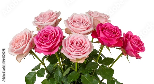 Bouquet of roses in soft pink and vibrant hues