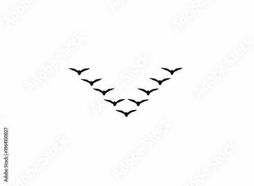 Skyward Formation: An elegant flock of birds soars across the vast expanse, artfully arranged in a graceful V-shaped formation. Witness the spectacle of unity and freedom.