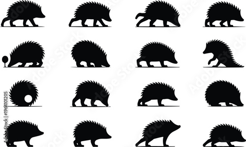 Hedgehog Silhouette Icon Collection Set