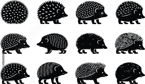 Hedgehog Silhouette Icon Collection Set