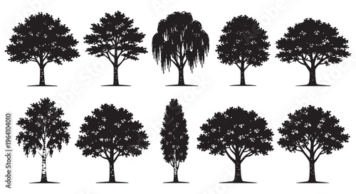Tree Silhouette Collection Forest Woodland Nature Vector Set