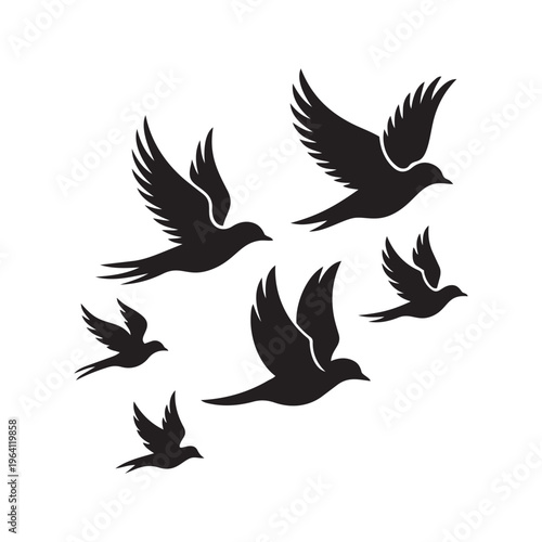 Bilde på lerret Flock of birds flying in unison freedom migration graceful movement wings spread