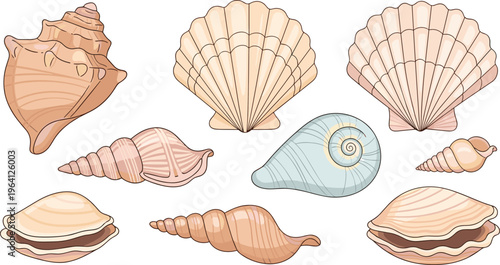Beach seashell set with scallop shells conch and spirals in realistic line art vector illustration style