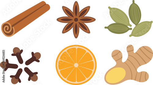 Spices and ingredients vector set with cinnamon star anise cardamom cloves orange slice ginger illustration collection cooking elements
