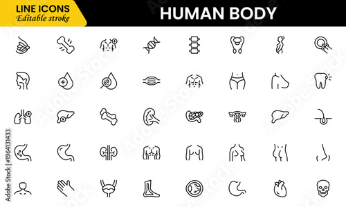 Human body icons depicting anatomy, organs, skeleton, muscles, health, biology, structure, systems, medical, education, science, physiology, and wellness.