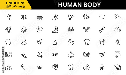 Human body icons depicting anatomy, organs, skeleton, muscles, health, biology, structure, systems, medical, education, science, physiology, and wellness.