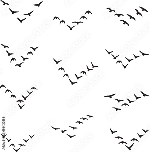 A collection of bird migration patterns, showcasing flocks of birds in V-shaped formations against a white background