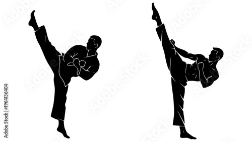 Martial Arts Fighter High Kick Action Silhouette Vector Concept