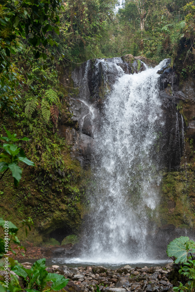 Obraz premium Waterfall rapidly flowing into a rocky pool, surrounded by lush green foliage and trees in a vibrant rainforest environment, creating a serene natural scene - stock photo