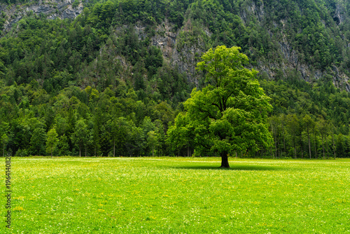 Scenic summertime view in the beautiful Logar Valley in Slovenia.