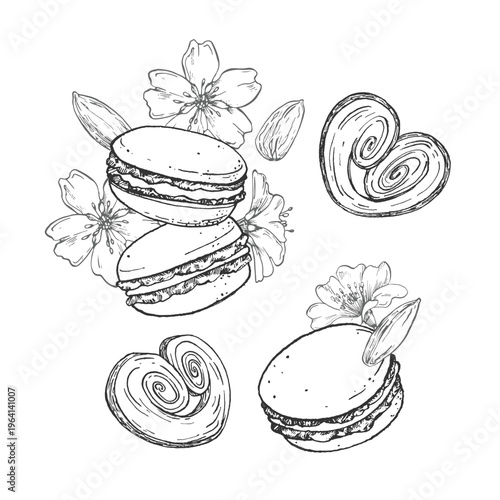 Macarons and palmieres with flowers and almond kernels. A set of vector illustrations featuring French pastries. Elements for menu design, labels, and dessert packaging.