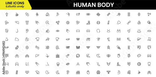 Human body icons depicting anatomy, organs, skeleton, muscles, health, biology, structure, systems, medical, education, science, physiology, and wellness.