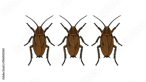 Three Brown Cockroaches Vector Illustration Isolated on White for Pest Control and Infestation Concepts