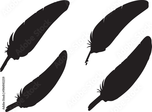Black feather silhouettes collection, set of 4 bird quill vector icons, minimalist plumage shapes for graphic design and logo branding