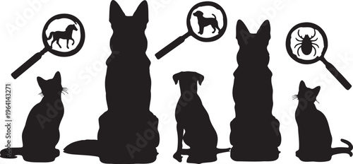 Veterinary parasite inspection silhouettes, dog and cat health checkup icons, magnifying glass examining flea and tick on pets, animal clinic vector set