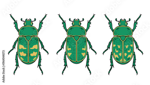 Set of three stylized green beetles with yellow patterns. Insect illustration in vector art style on white background.