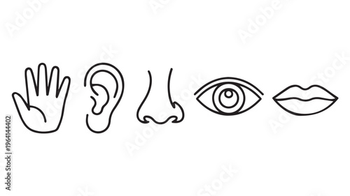 Minimalist black and white line art icons for the five human senses hand, ear, nose, eye, mouth representing touch, hearing, smell, sight, taste