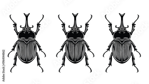Rhinoceros Beetle Trio. Detailed black and white insect illustration in vintage engraving style.