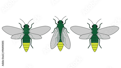 Three cartoon fireflies with glowing abdomens. Green insect vector illustration on white background for nature and summer designs.