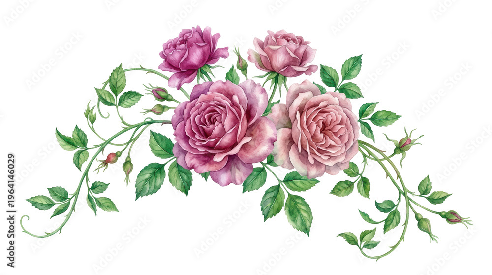 Naklejka premium Delicate watercolor painting of pink roses with green leaves and buds on a white background