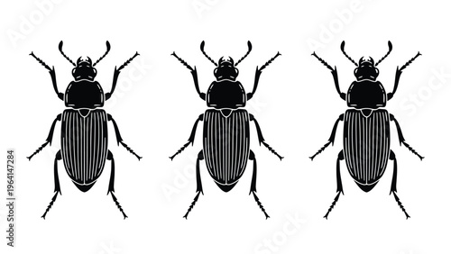 Three Identical Black Beetles in a Row Isolated on White Background - Minimalist Insect Graphic