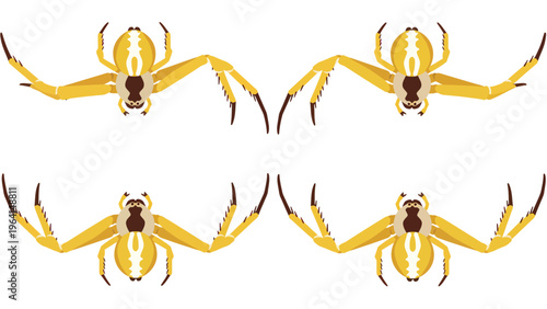 Symmetrical Yellow Spider Vector Pattern on White Background