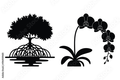 Mangrove tree and orchid flower silhouettes with tree trunk