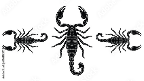 Three Black Scorpions Symmetrical Illustration. Large Central Scorpion with Two Smaller Insects. Isolated on White Background.